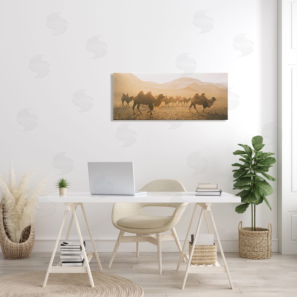 Aledanda Camels Marching Desert Animals Canyon Landscape