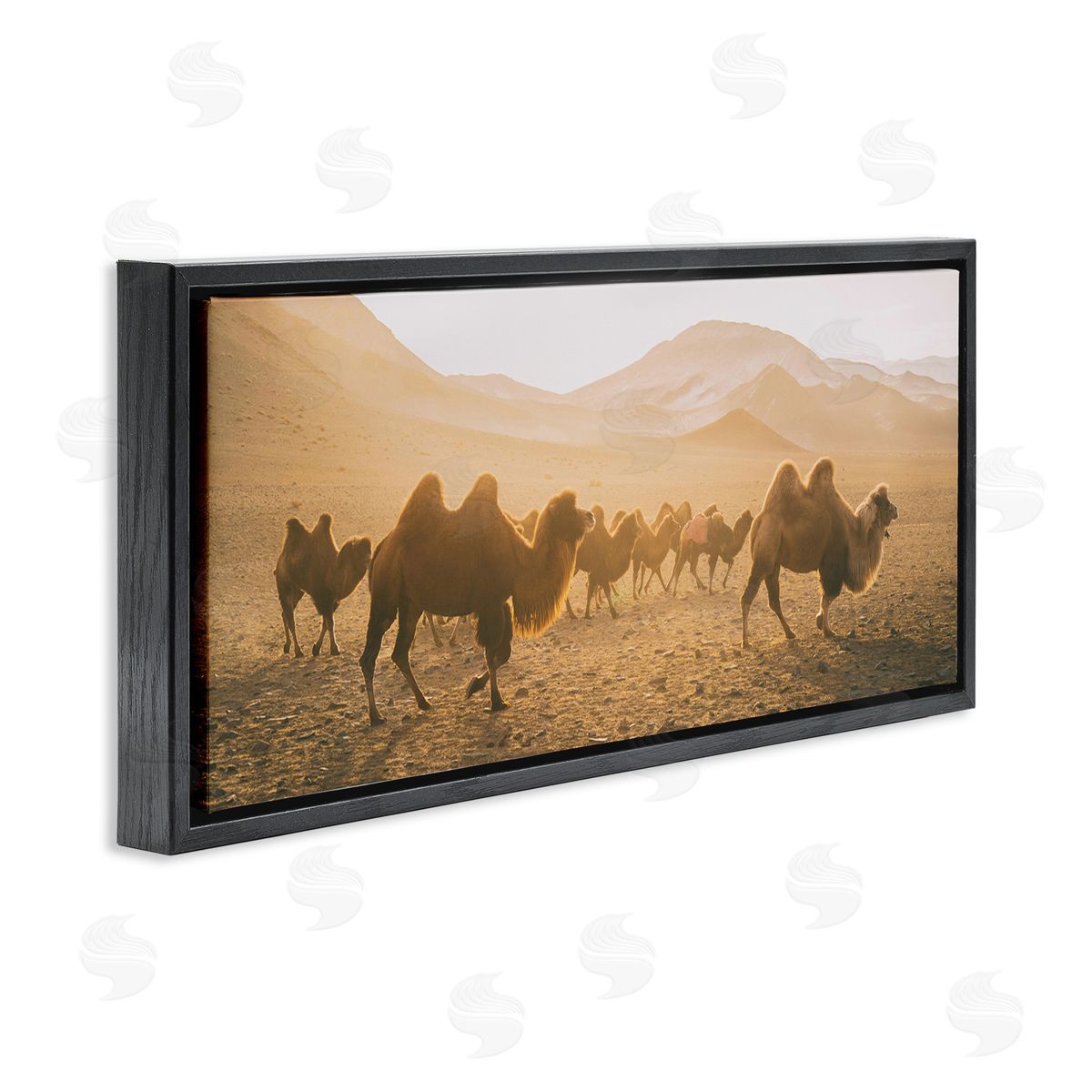 Aledanda Camels Marching Desert Animals Canyon Landscape