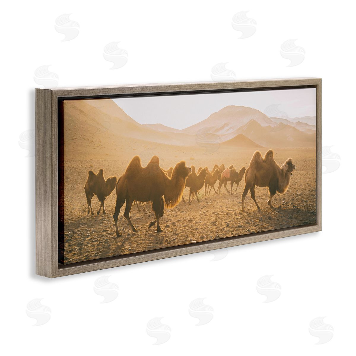 Aledanda Camels Marching Desert Animals Canyon Landscape