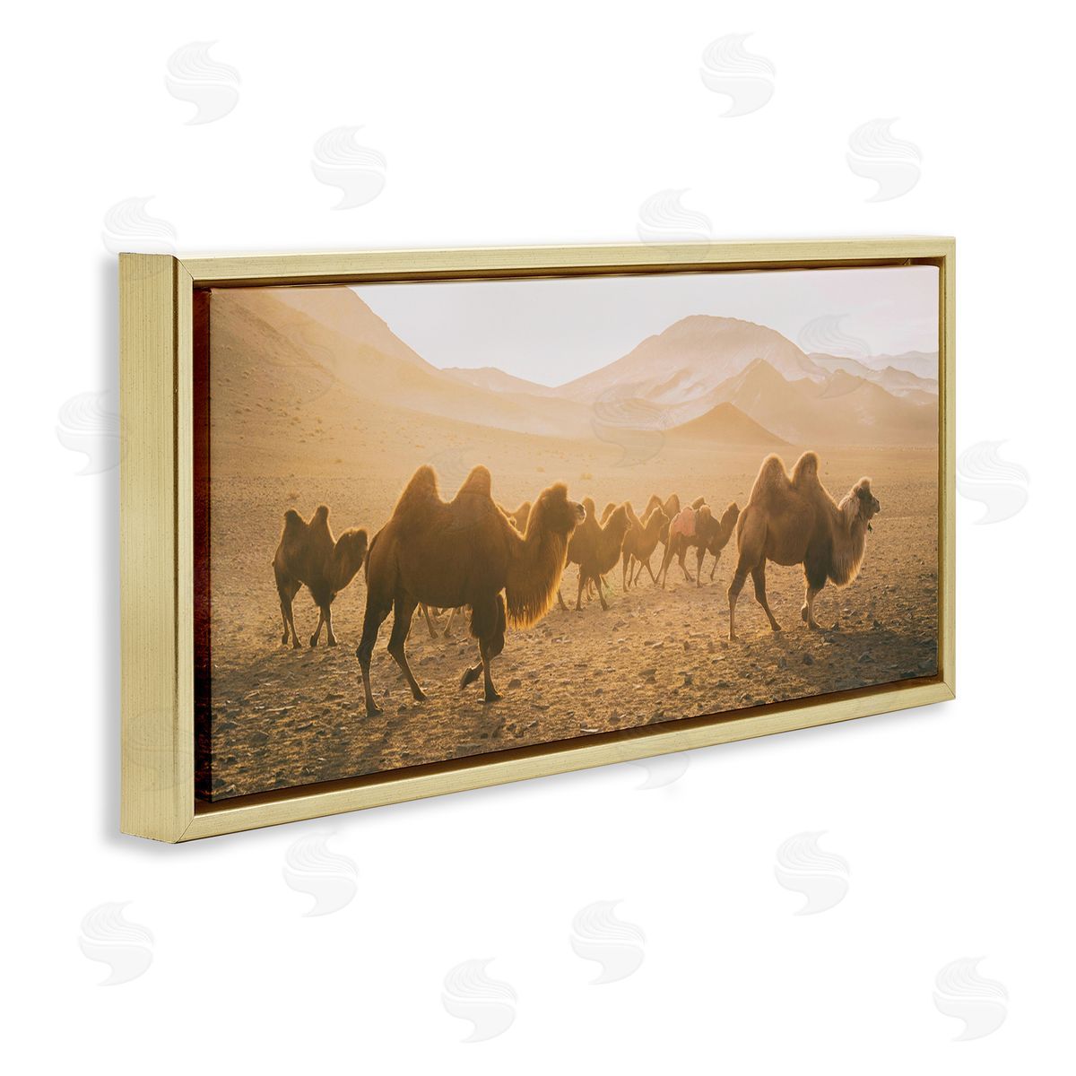 Aledanda Camels Marching Desert Animals Canyon Landscape