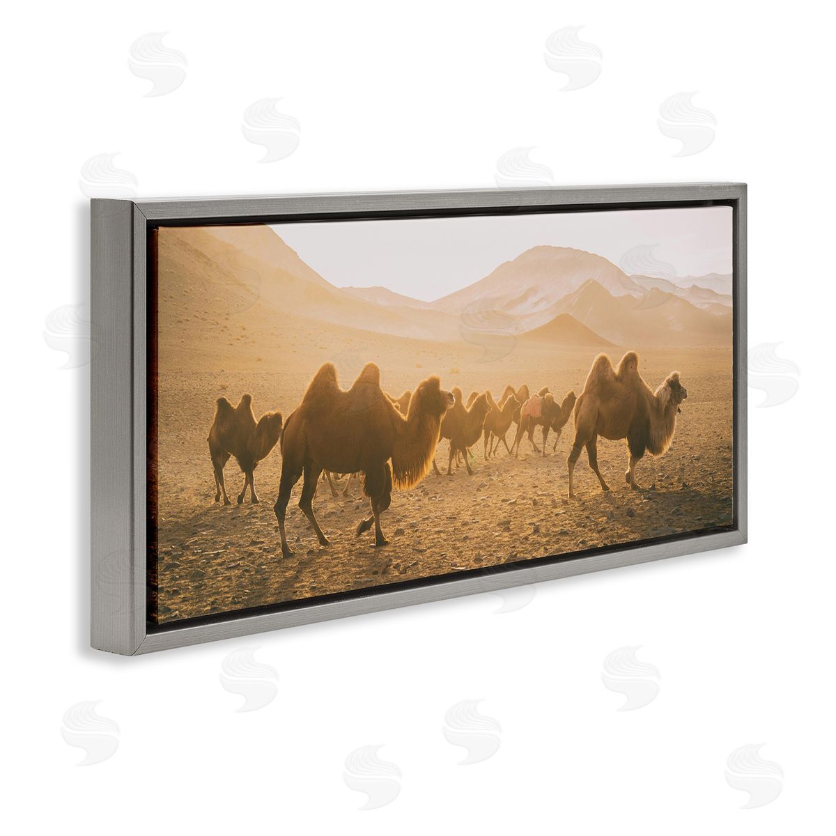 Aledanda Camels Marching Desert Animals Canyon Landscape