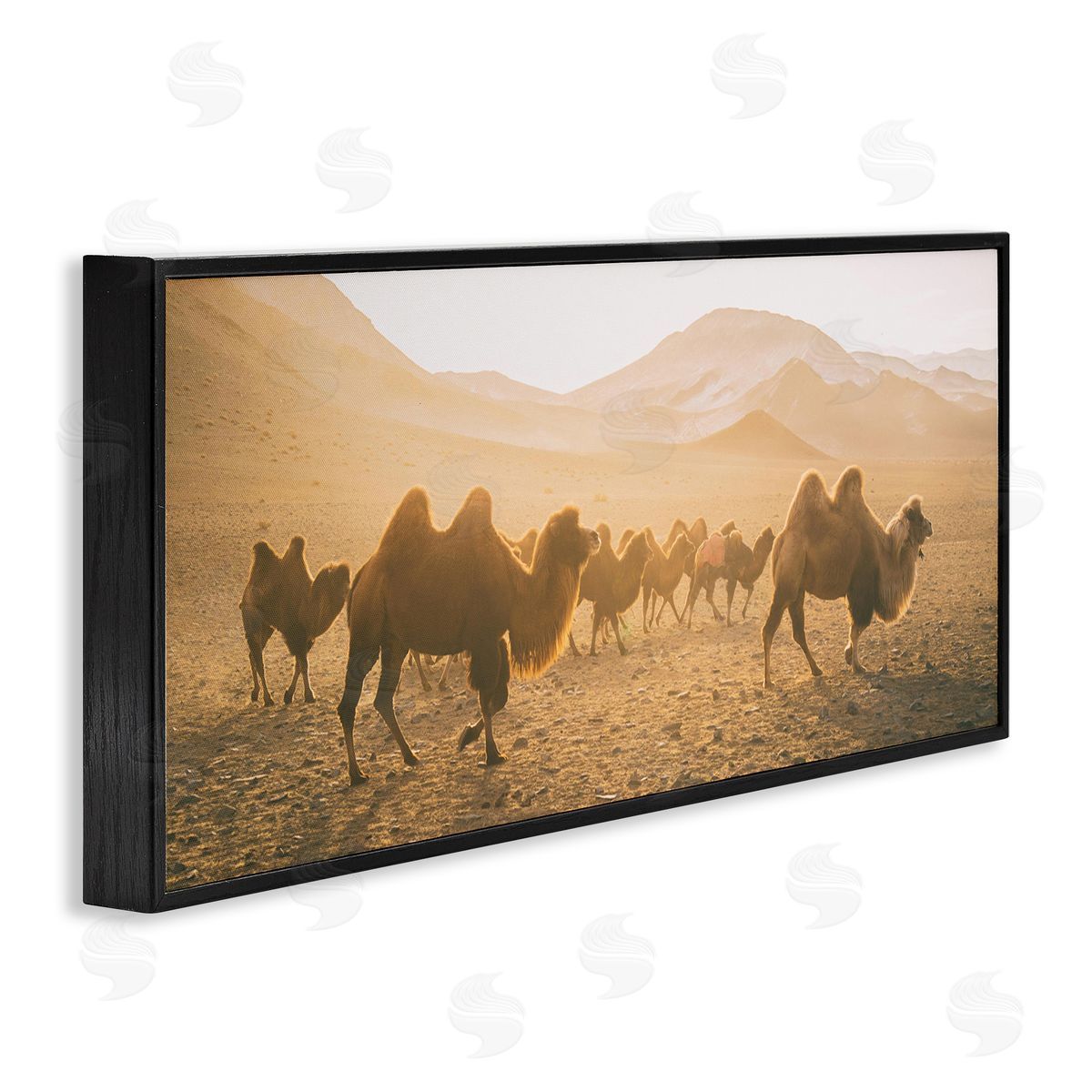 Aledanda Camels Marching Desert Animals Canyon Landscape
