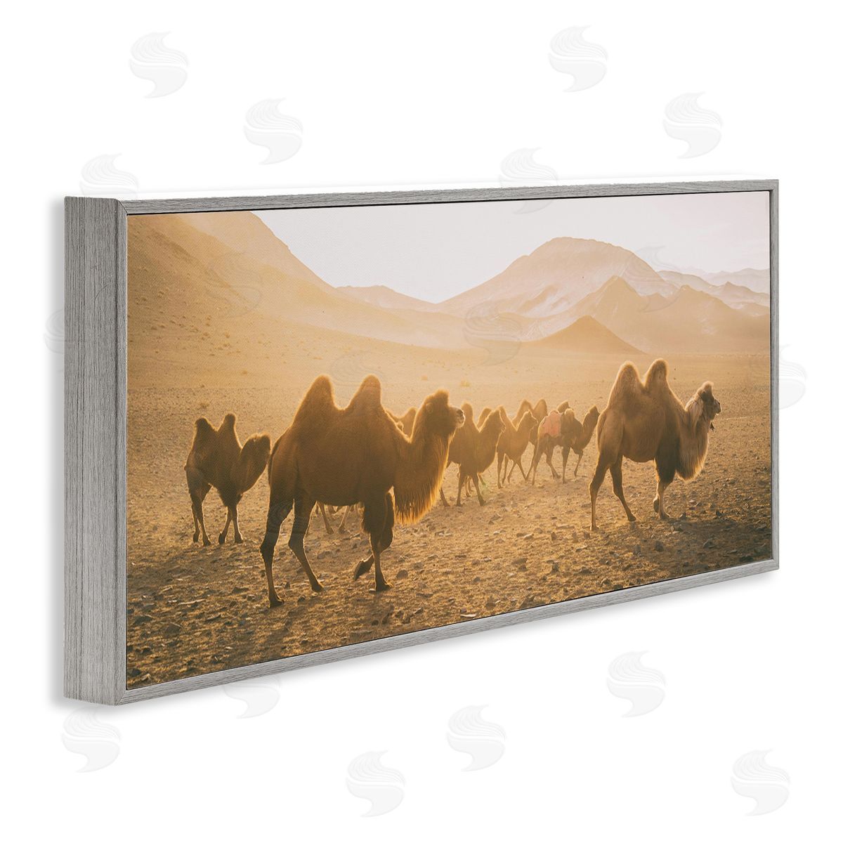 Aledanda Camels Marching Desert Animals Canyon Landscape