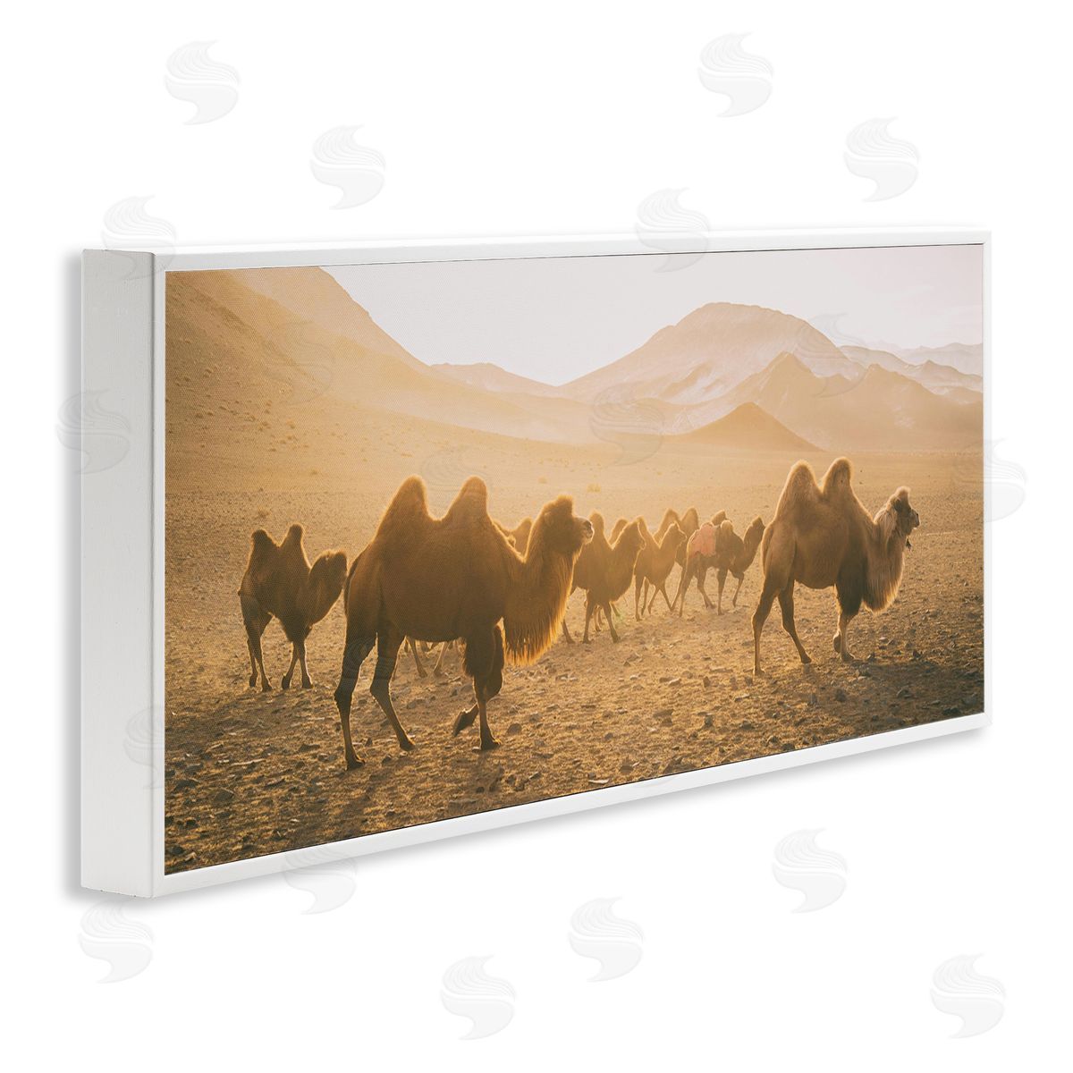 Aledanda Camels Marching Desert Animals Canyon Landscape