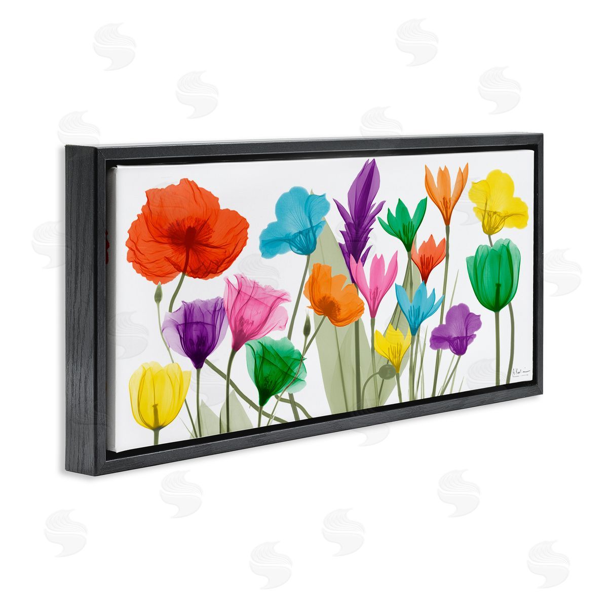 Albert Koetsier Bold Spring Floral Arrangement Translucent Plant Photography