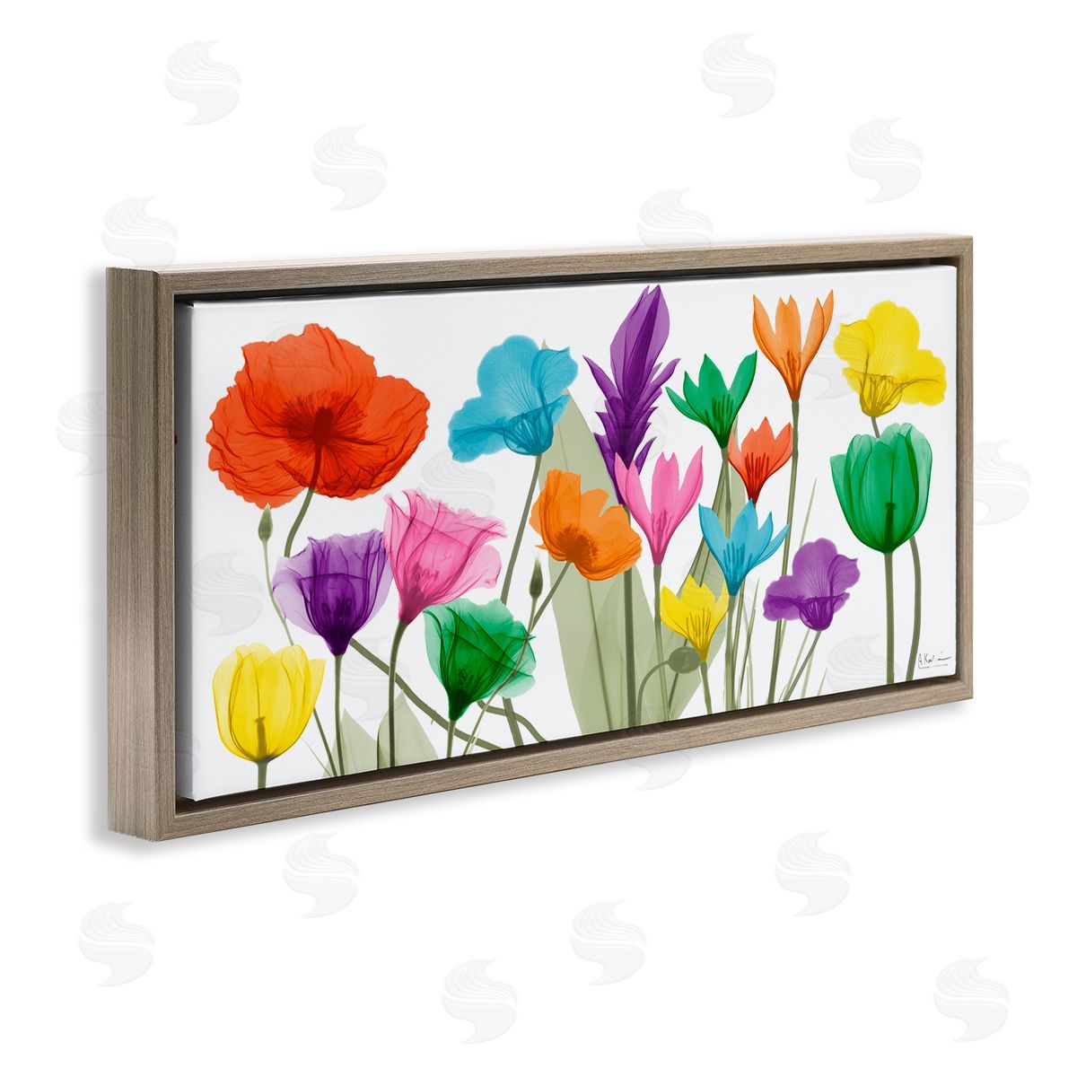 Albert Koetsier Bold Spring Floral Arrangement Translucent Plant Photography