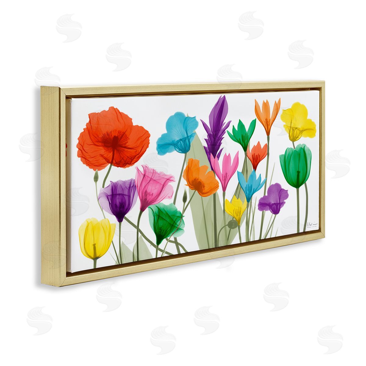 Albert Koetsier Bold Spring Floral Arrangement Translucent Plant Photography