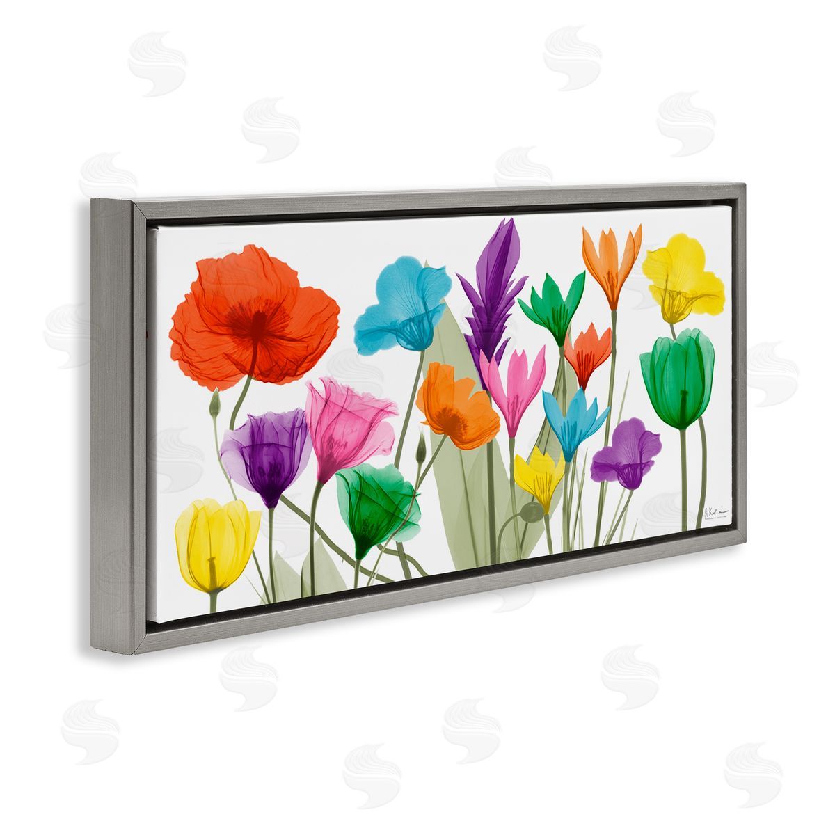 Albert Koetsier Bold Spring Floral Arrangement Translucent Plant Photography