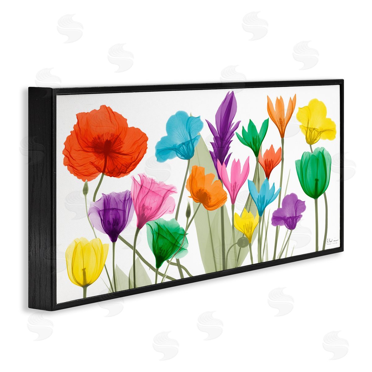 Albert Koetsier Bold Spring Floral Arrangement Translucent Plant Photography