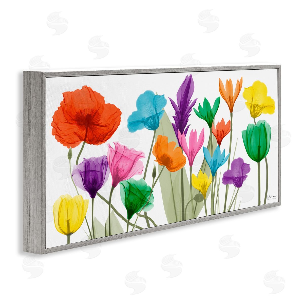 Albert Koetsier Bold Spring Floral Arrangement Translucent Plant Photography