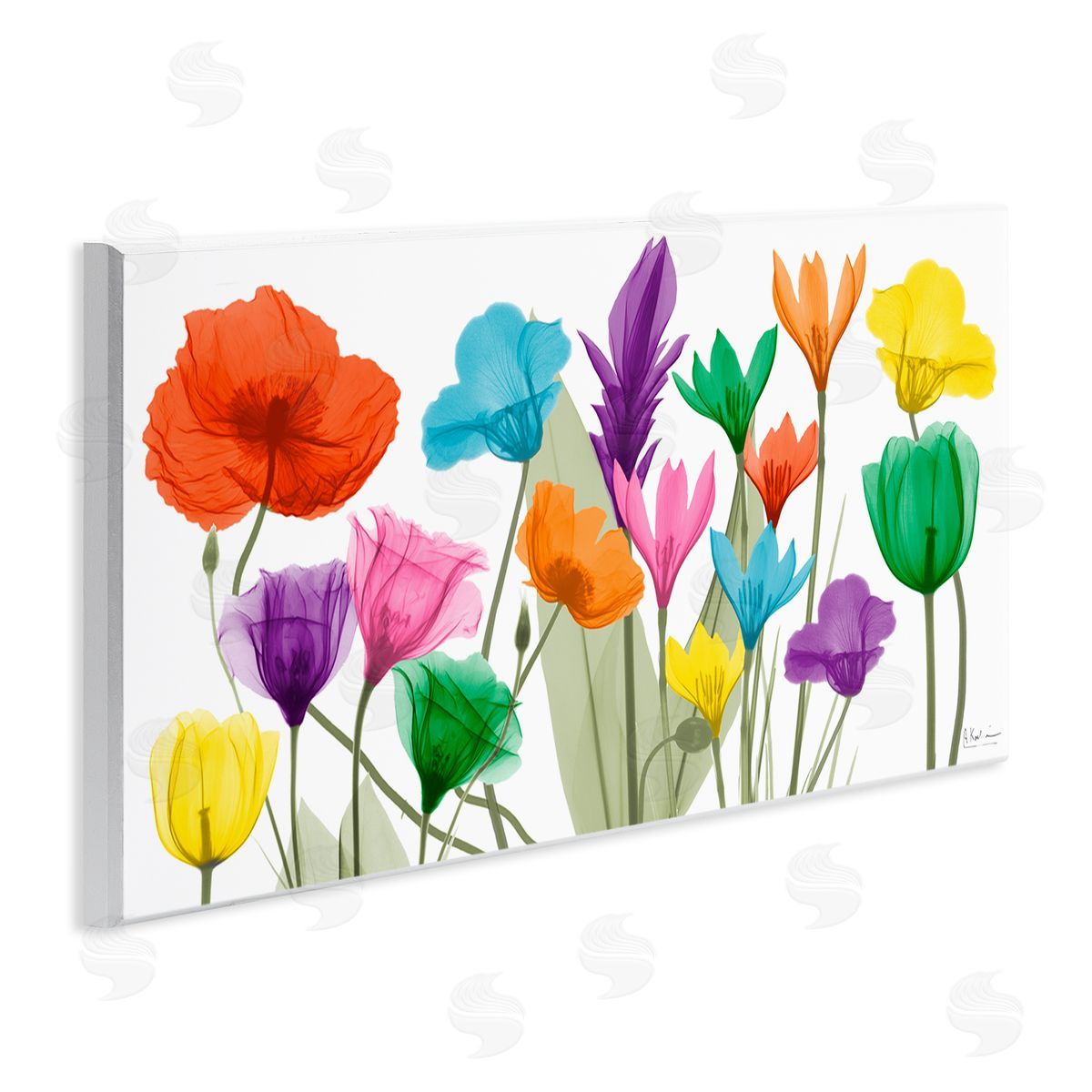 Albert Koetsier Bold Spring Floral Arrangement Translucent Plant Photography