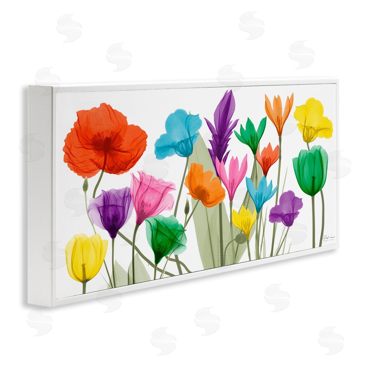 Albert Koetsier Bold Spring Floral Arrangement Translucent Plant Photography