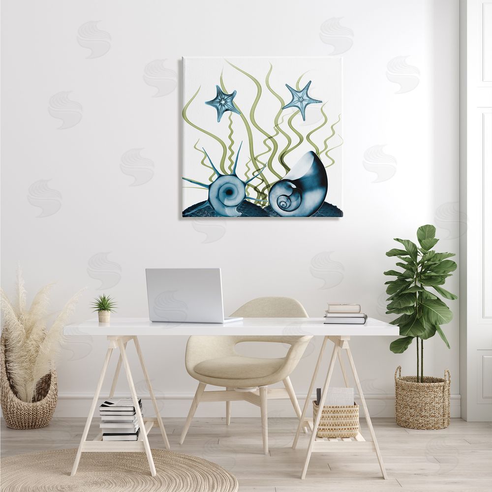 Albert Koetsier Navy Blue Sea Floor Arrangement Translucent Shell Collage Canvas Wall Art in Room