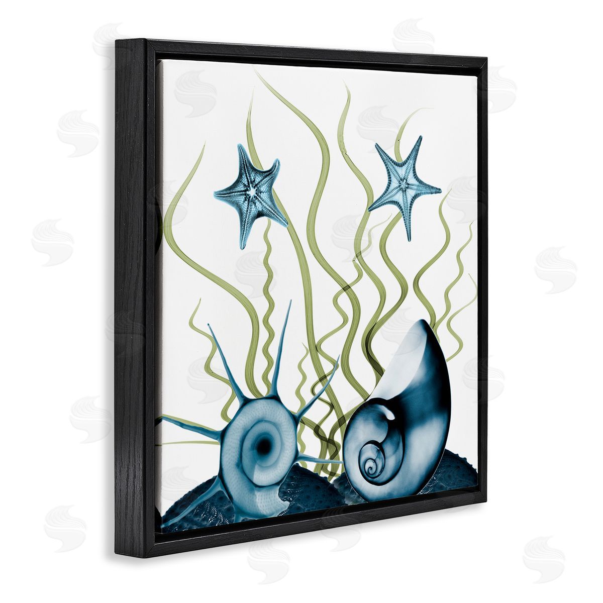 Albert Koetsier Navy Blue Sea Floor Arrangement Translucent Shell Collage Black Floating Frame Canvas Wall Art Print