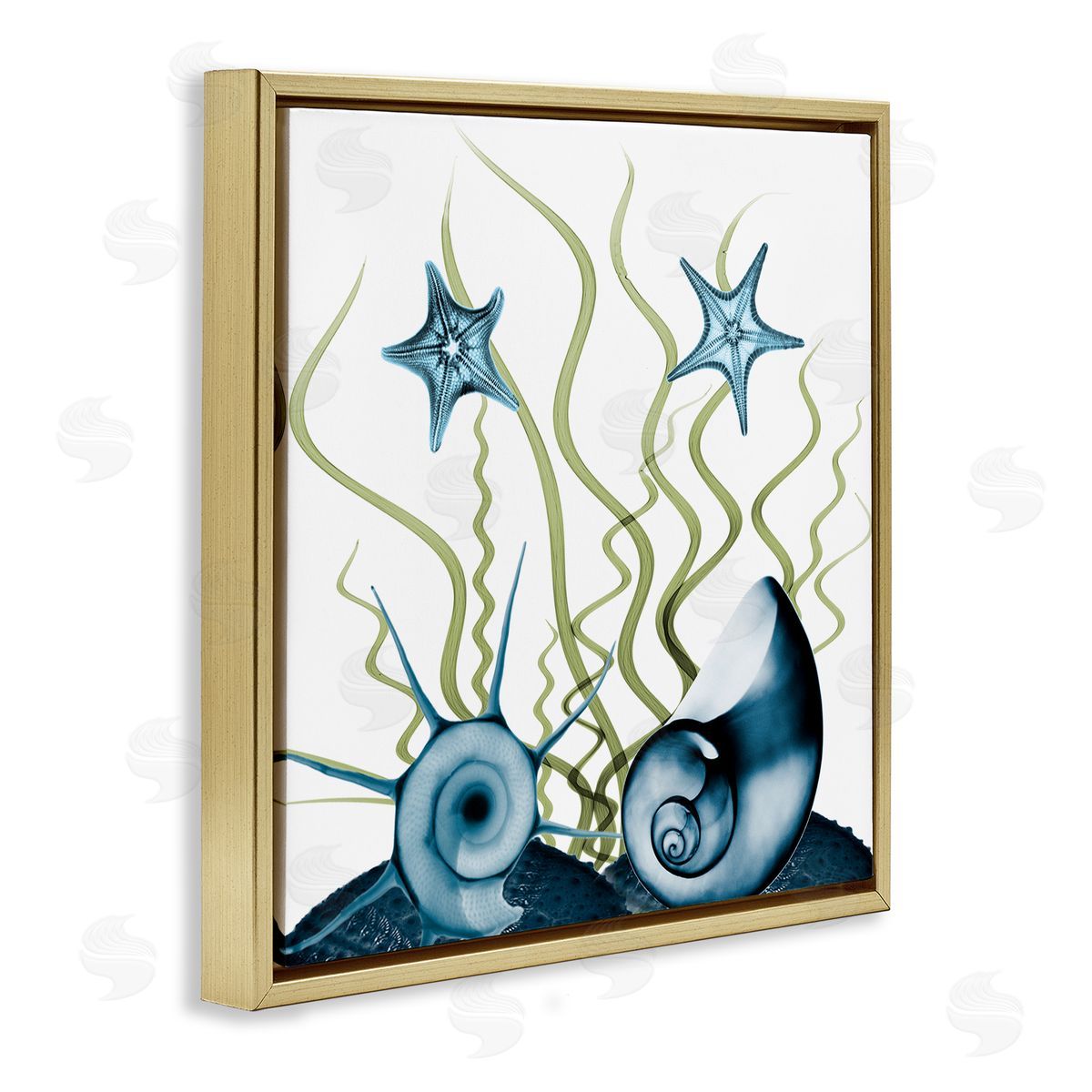 Albert Koetsier Navy Blue Sea Floor Arrangement Translucent Shell Collage Gold Floating Frame Canvas Wall Art Print