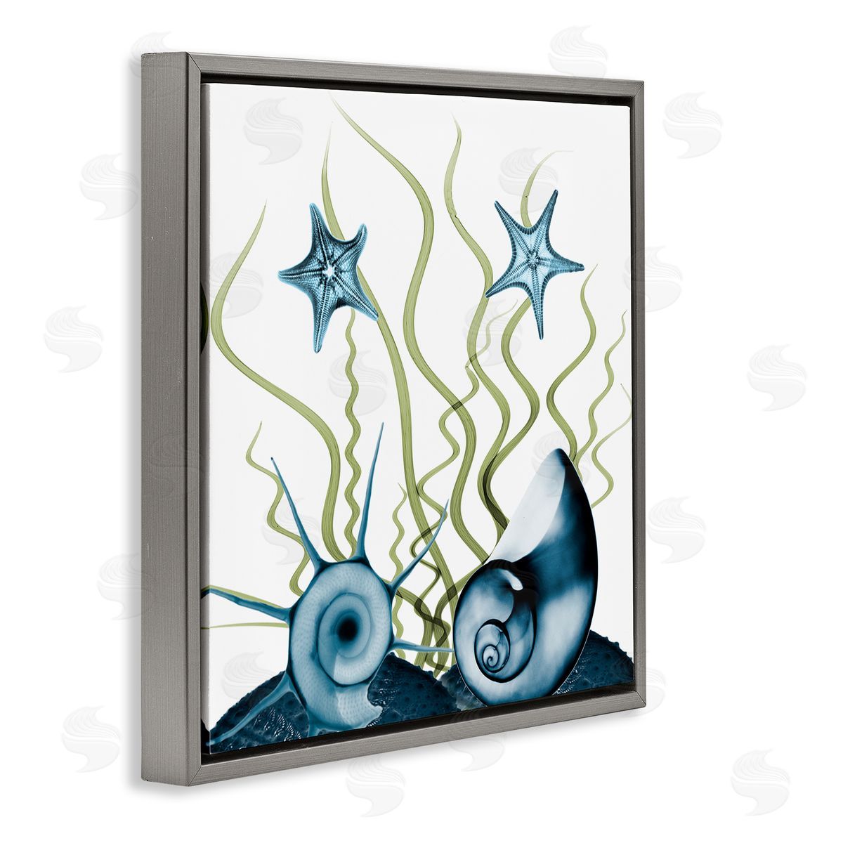 Albert Koetsier Navy Blue Sea Floor Arrangement Translucent Shell Collage Gray Floating Frame Canvas Wall Art Print