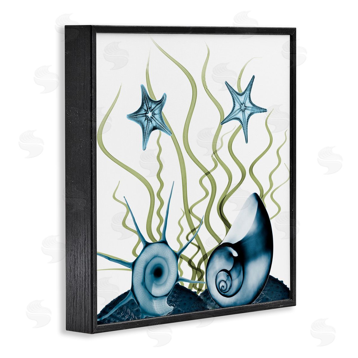 Albert Koetsier Navy Blue Sea Floor Arrangement Translucent Shell Collage Black Framed Glicee Wall Art Print