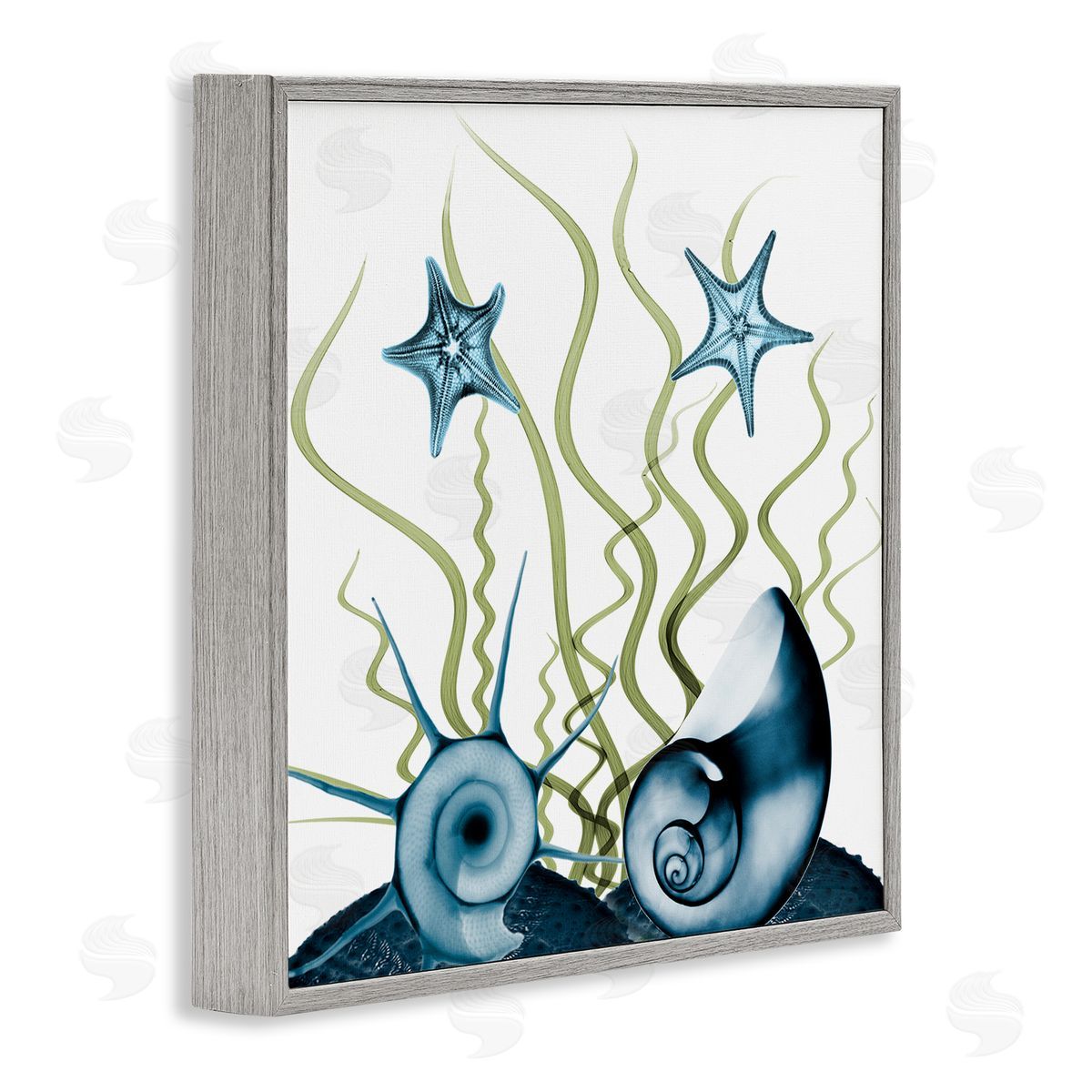 Albert Koetsier Navy Blue Sea Floor Arrangement Translucent Shell Collage Gray Framed Glicee Wall Art Print