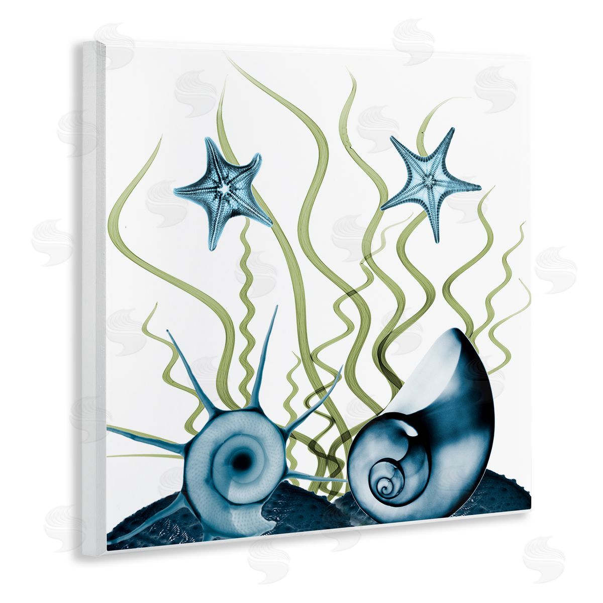 Albert Koetsier Navy Blue Sea Floor Arrangement Translucent Shell Collage Wooden Wall Plaque Art Print