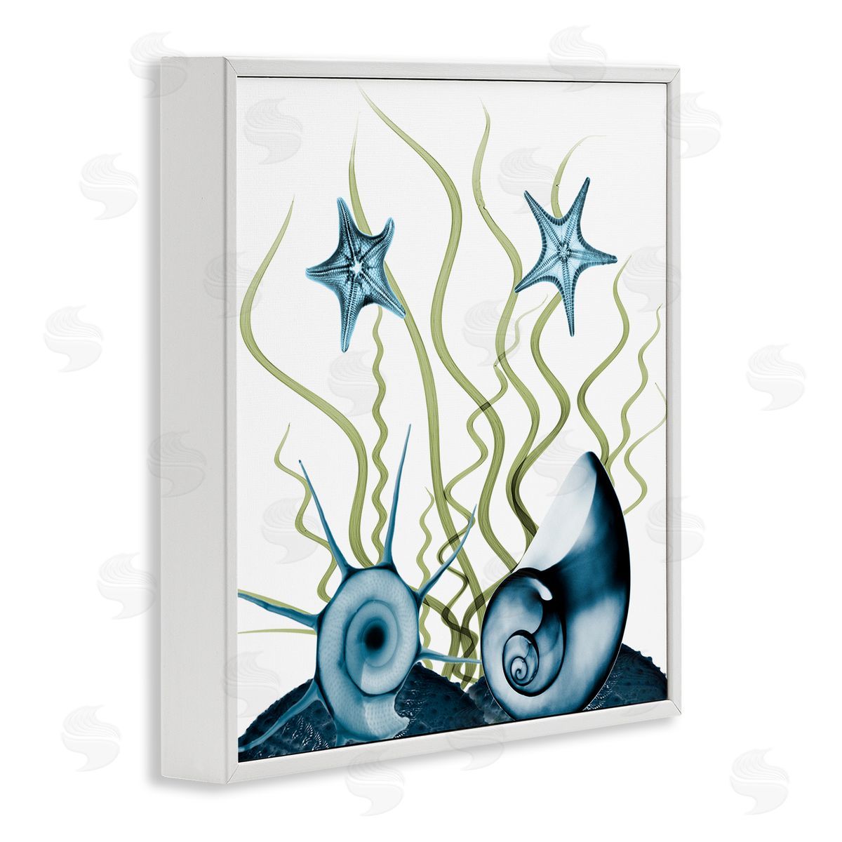 Albert Koetsier Navy Blue Sea Floor Arrangement Translucent Shell Collage White Framed Glicee Wall Art Print