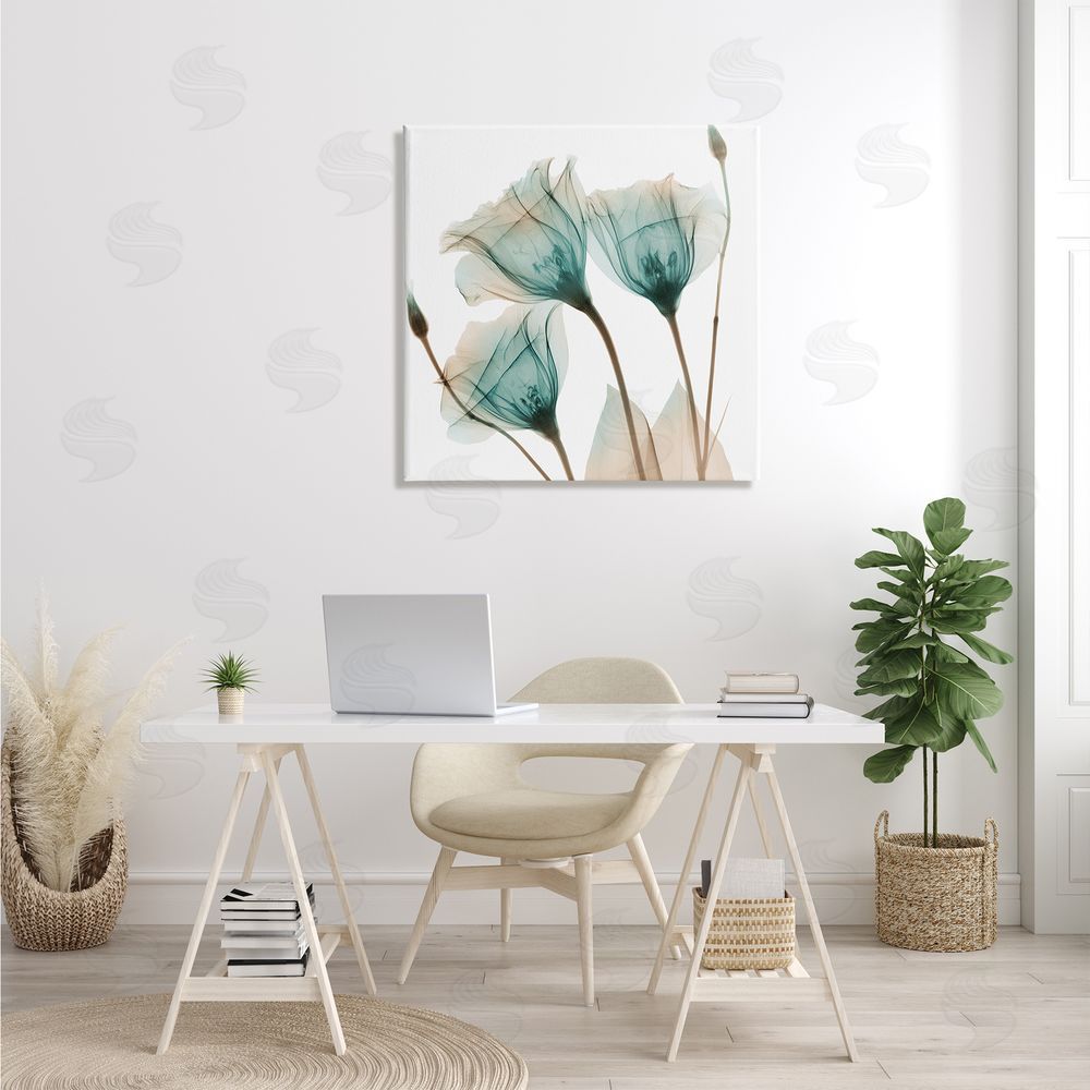 Albert Koetsier Spring Tulip Florals Translucent Plant Photography Canvas Wall Art in Room