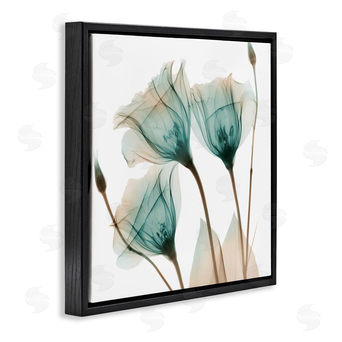 Albert Koetsier Spring Tulip Florals Translucent Plant Photography Black Floating Frame Canvas Wall Art Print