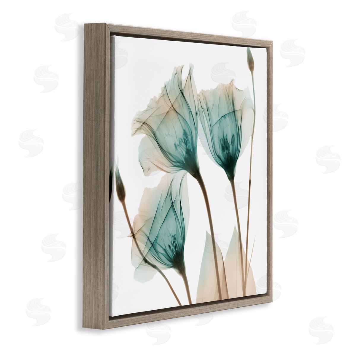 Albert Koetsier Spring Tulip Florals Translucent Plant Photography Brown Floating Frame Canvas Wall Art Print