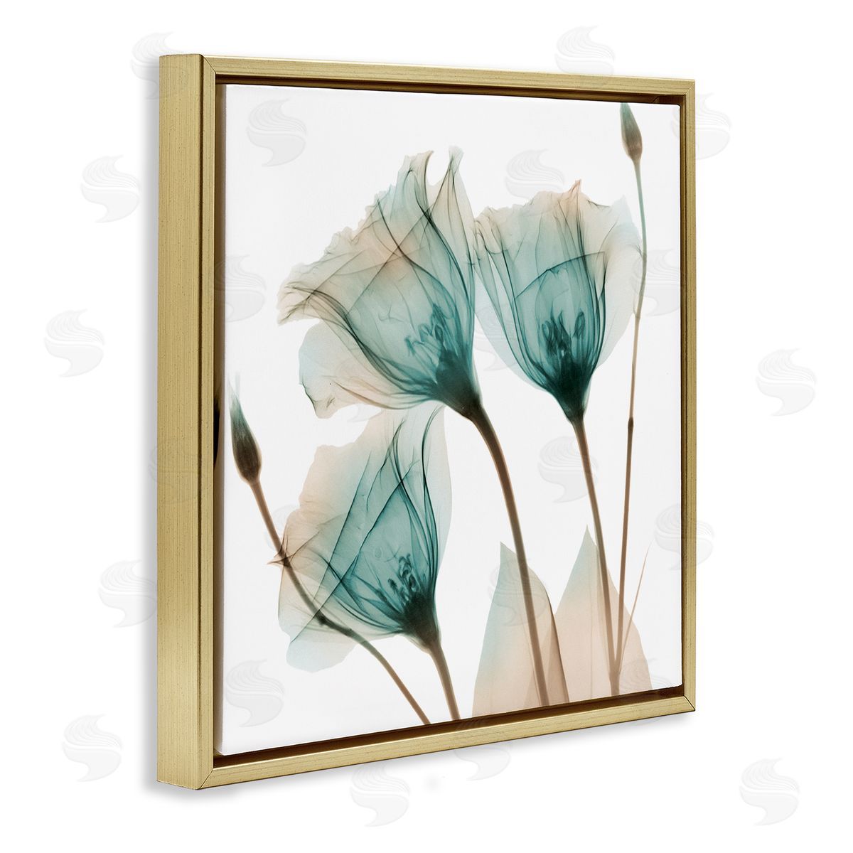 Albert Koetsier Spring Tulip Florals Translucent Plant Photography Gold Floating Frame Canvas Wall Art Print