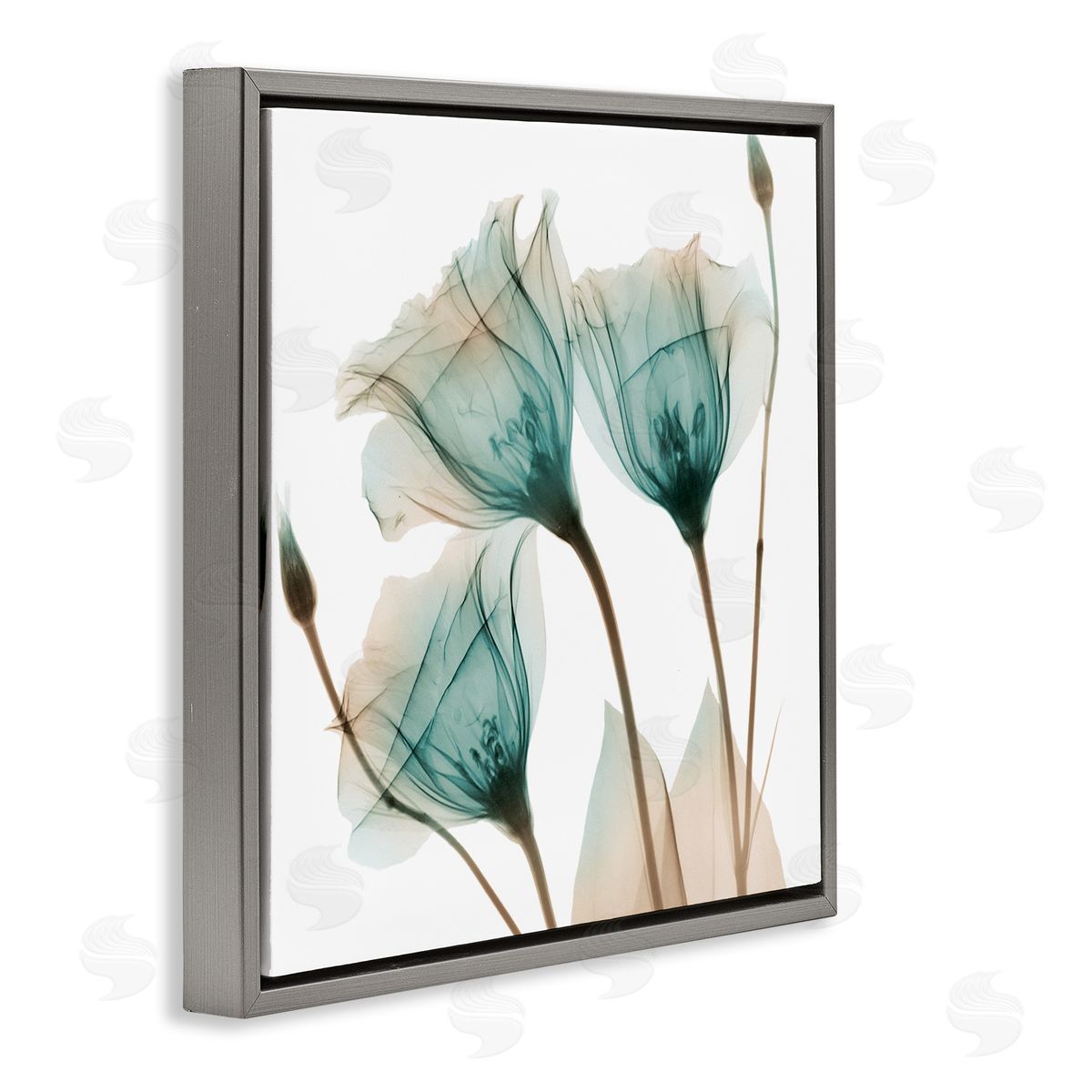 Albert Koetsier Spring Tulip Florals Translucent Plant Photography Gray Floating Frame Canvas Wall Art Print