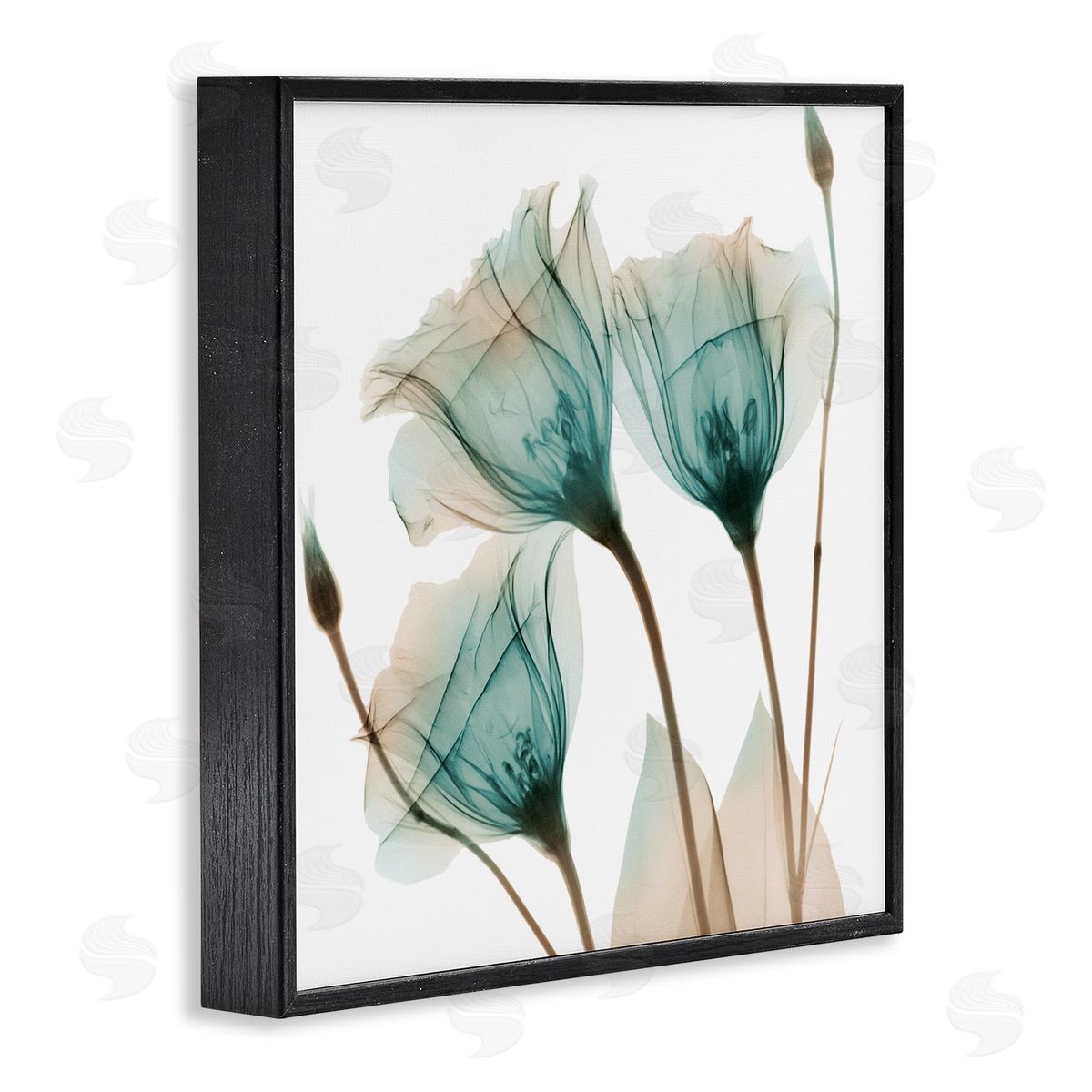 Albert Koetsier Spring Tulip Florals Translucent Plant Photography Black Framed Glicee Wall Art Print