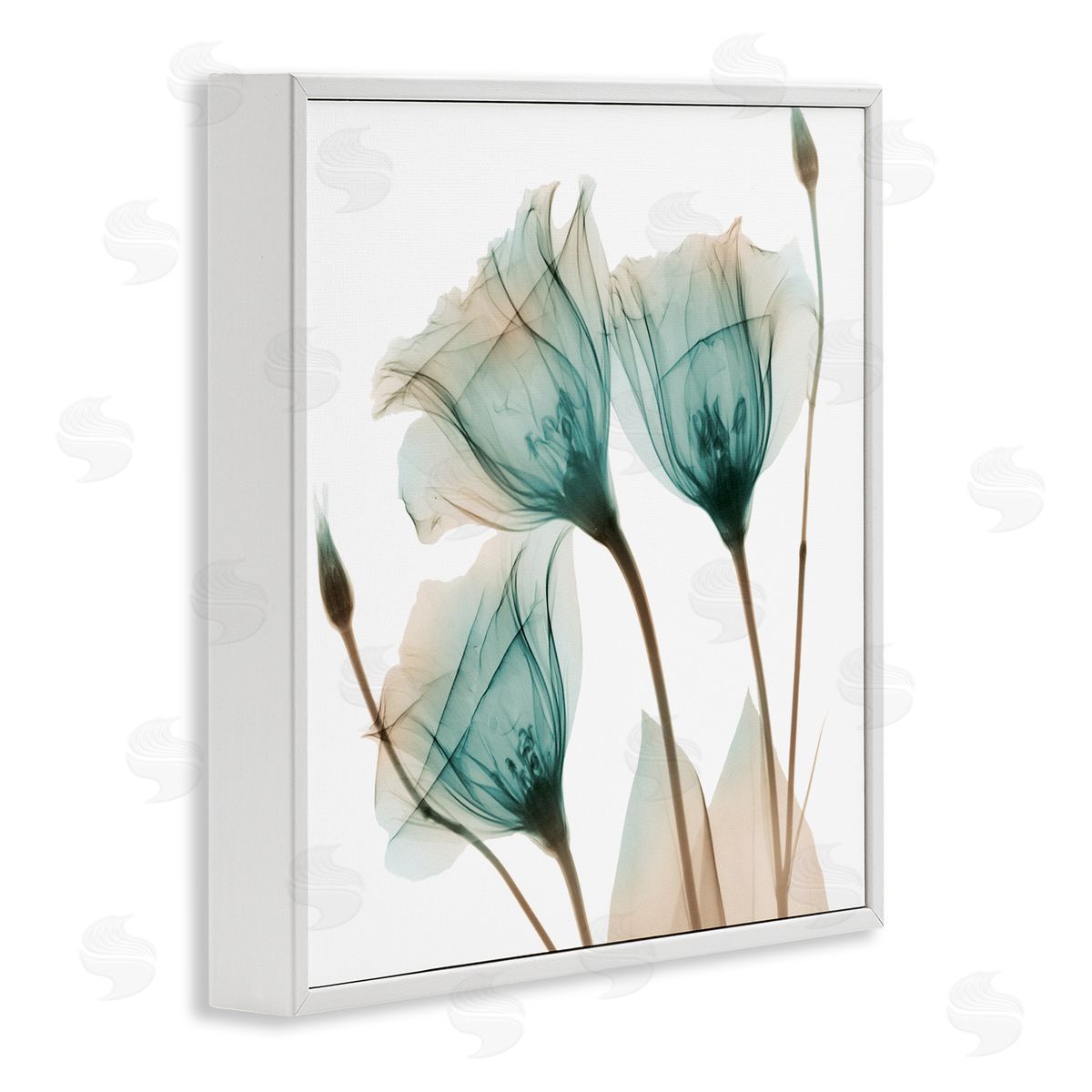 Albert Koetsier Spring Tulip Florals Translucent Plant Photography White Framed Glicee Wall Art Print