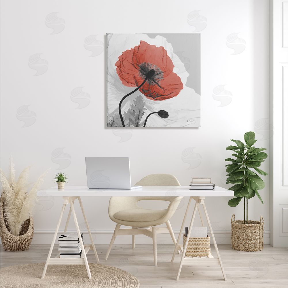 Albert Koetsier Translucent Red Poppy Floral Modern Flower Photography Canvas Wall Art in Room