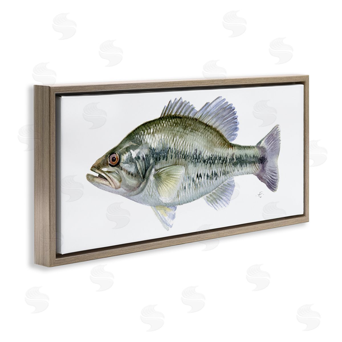 Verbrugge Watercolor Green Blue Bass Fish Modern Watercolor over White
