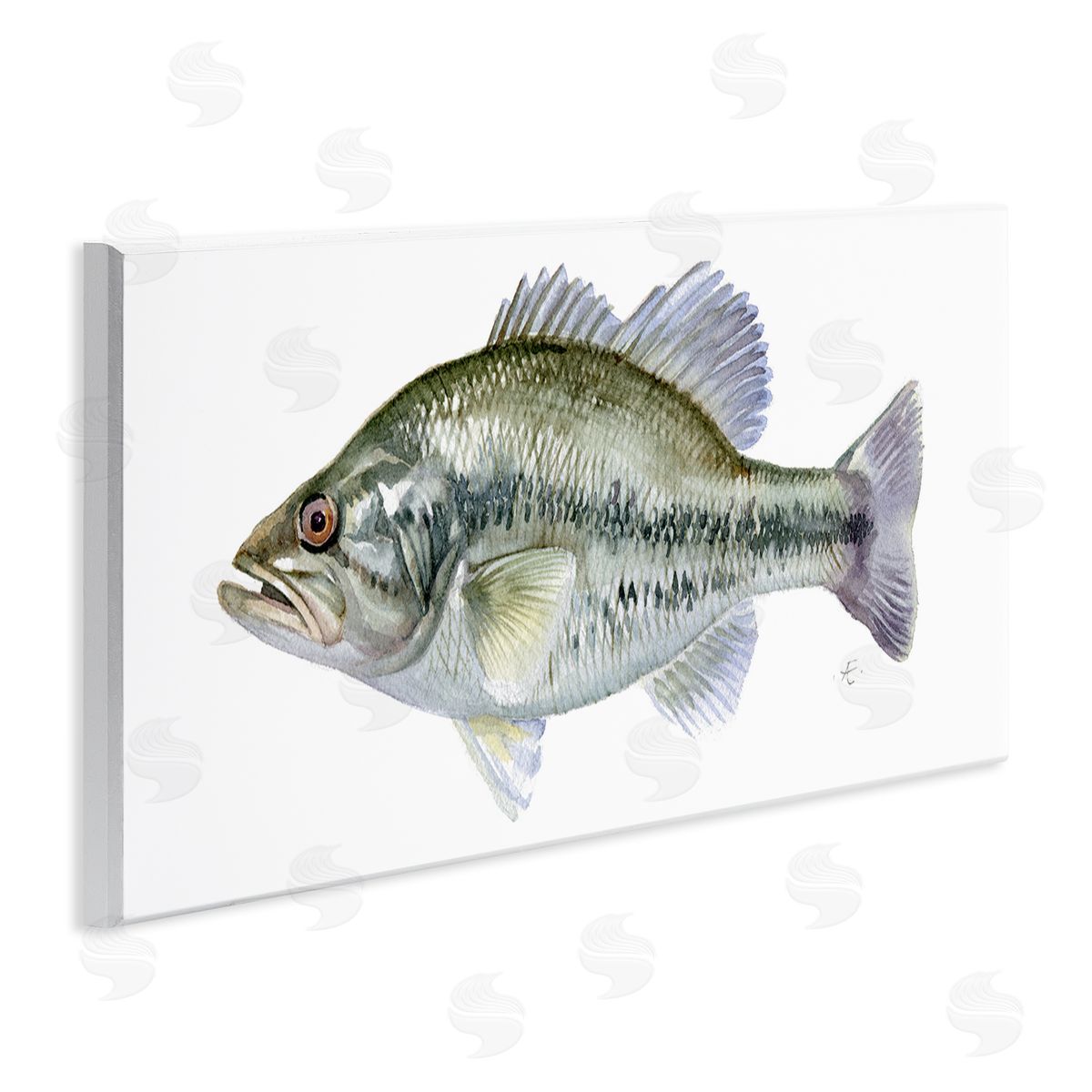 Verbrugge Watercolor Green Blue Bass Fish Modern Watercolor over White