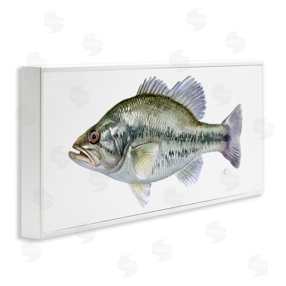Verbrugge Watercolor Green Blue Bass Fish Modern Watercolor over White