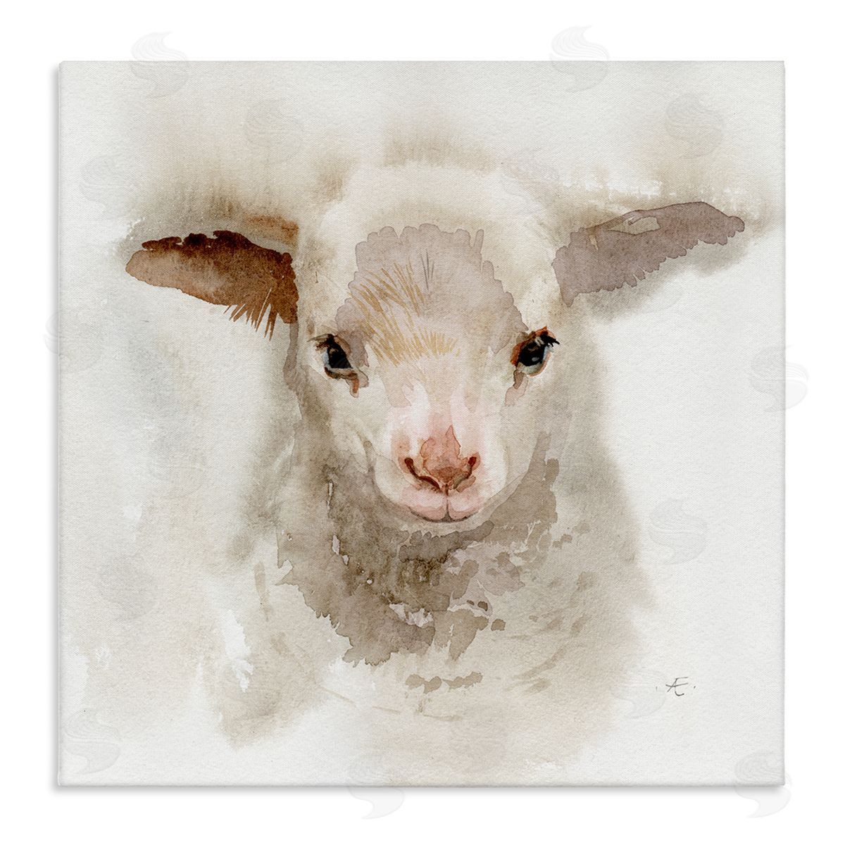 Verbrugge Watercolor Baby Lamb Farm Portrait Minimal Shaggy Animal Stretched Canvas Wall Art Print