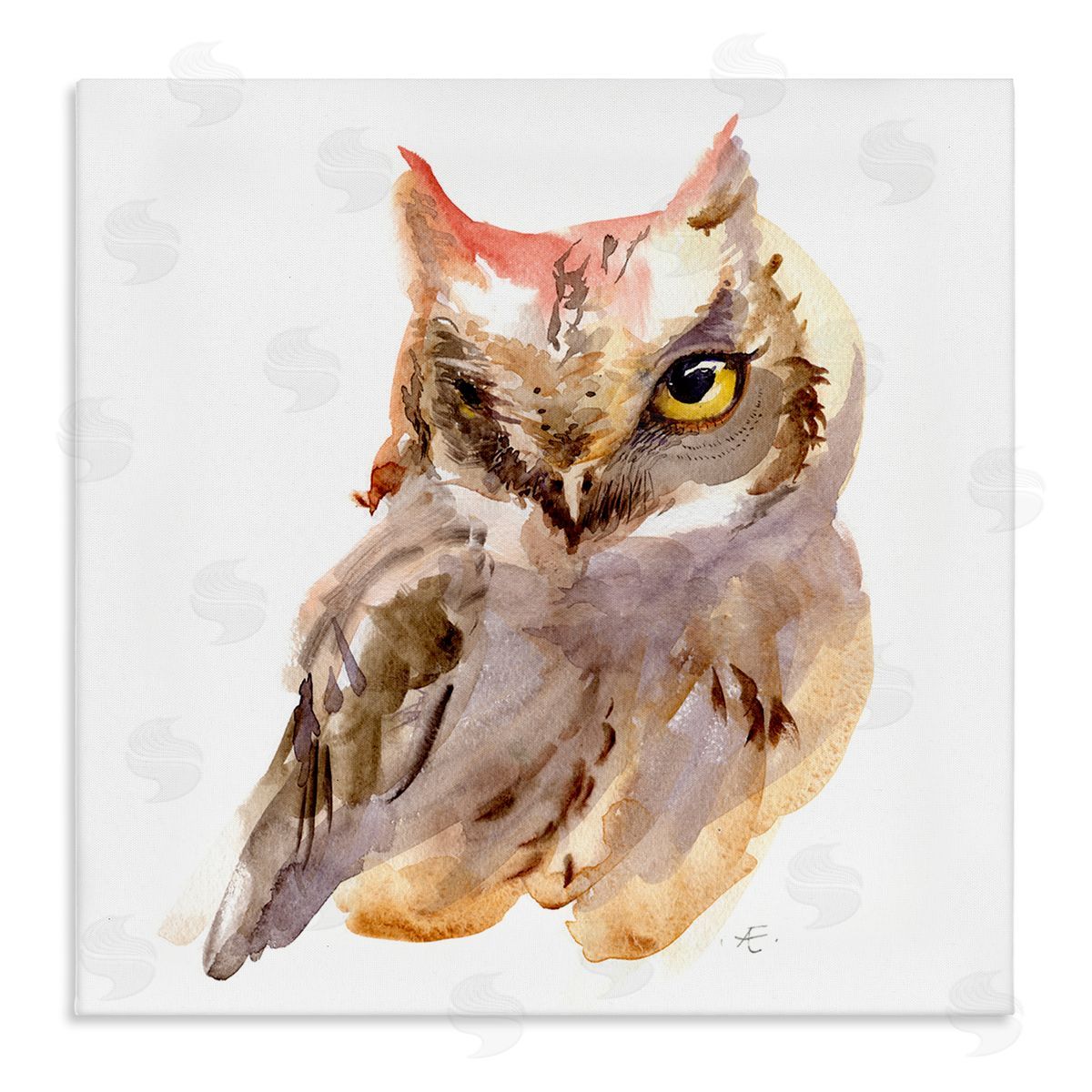 Verbrugge Watercolor Brown Horned Owl Eye Wink Minimal Bird Stretched Canvas Wall Art Print