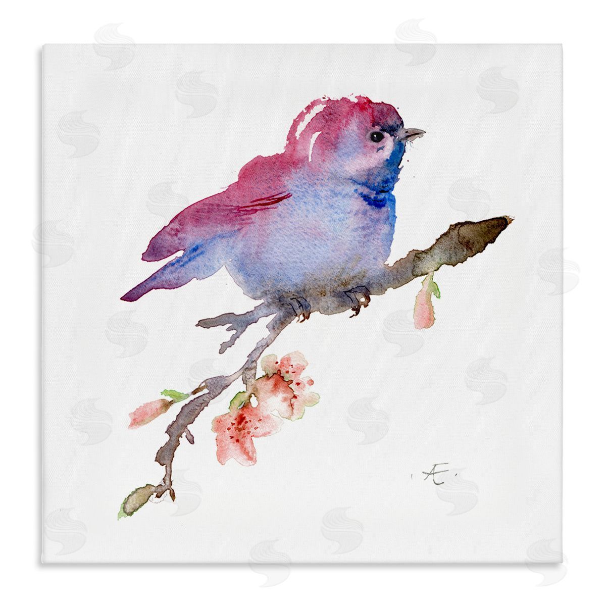 Verbrugge Watercolor Baby Bird Blooming Spring Blossom Tree Branch  Stretched Canvas Wall Art Print