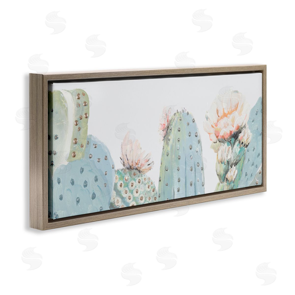 Patricia Pinto Soft Green Cactus Close Up Blooming Pink Flowers