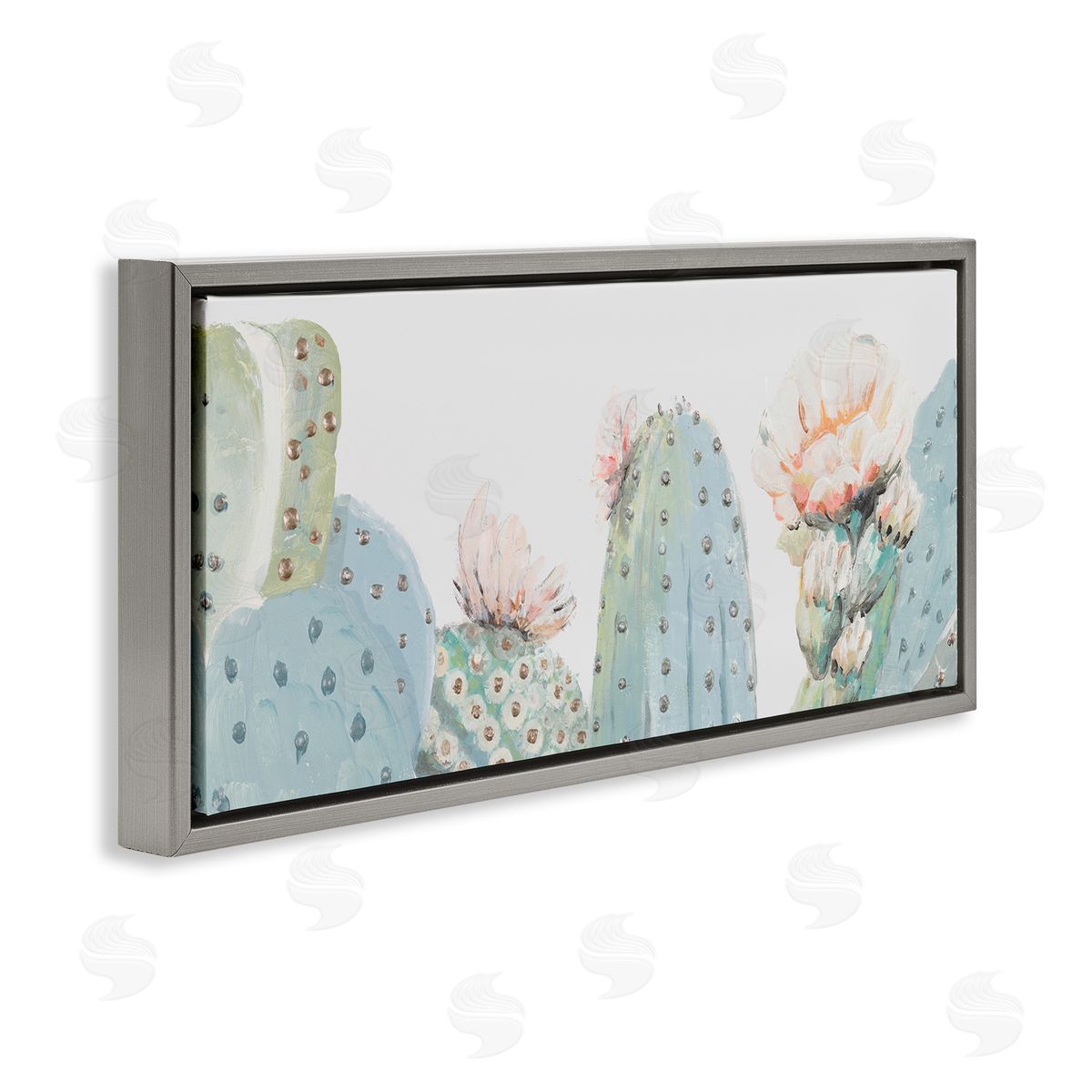 Patricia Pinto Soft Green Cactus Close Up Blooming Pink Flowers