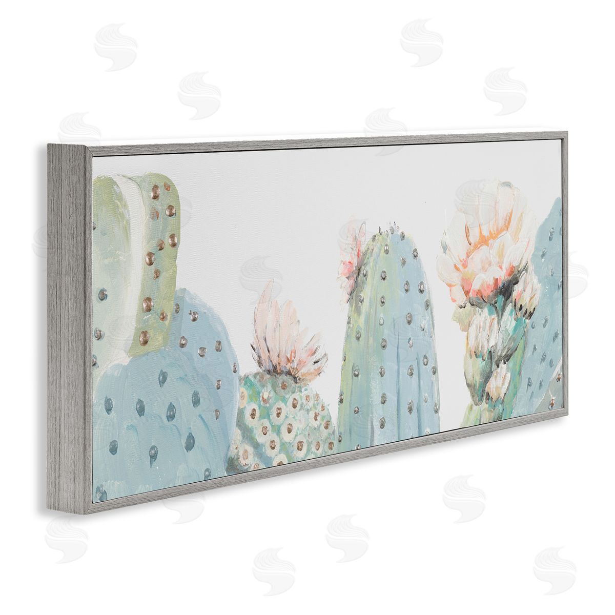 Patricia Pinto Soft Green Cactus Close Up Blooming Pink Flowers