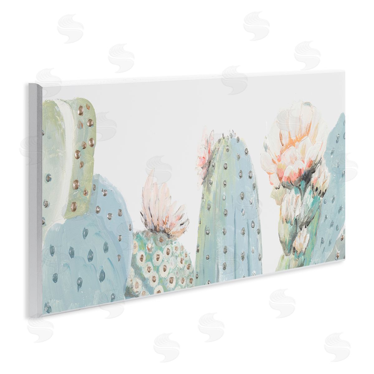 Patricia Pinto Soft Green Cactus Close Up Blooming Pink Flowers