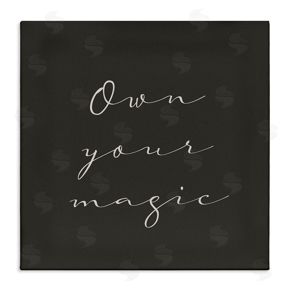Birch & Ink Own Your Magic Phrase Minimal Cursive Typography Stretched Canvas Wall Art Print