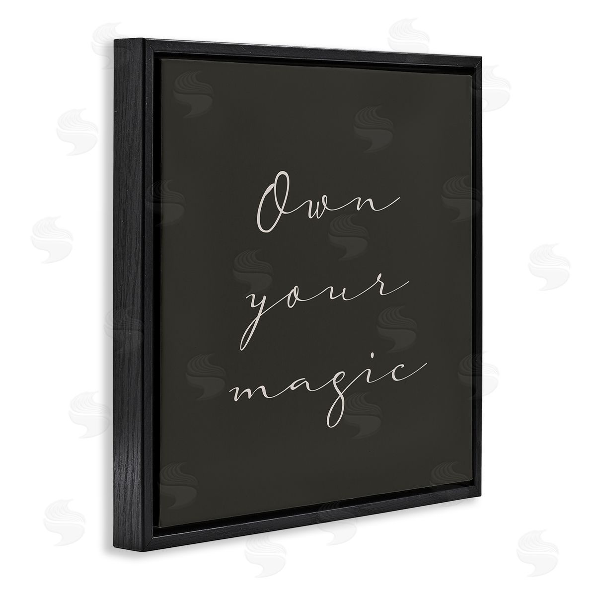 Birch & Ink Own Your Magic Phrase Minimal Cursive Typography Black Floating Frame Canvas Wall Art Print