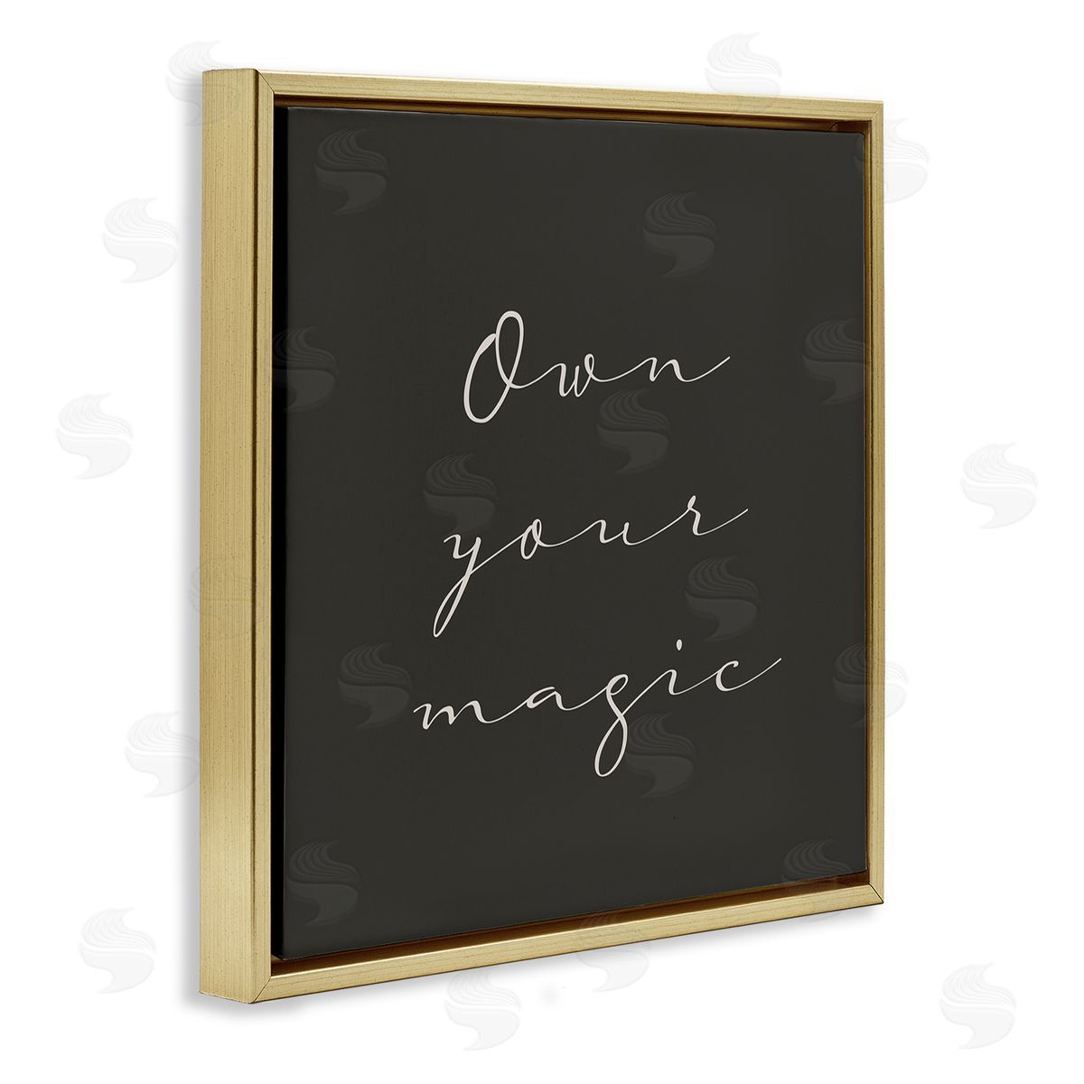 Birch & Ink Own Your Magic Phrase Minimal Cursive Typography Gold Floating Frame Canvas Wall Art Print