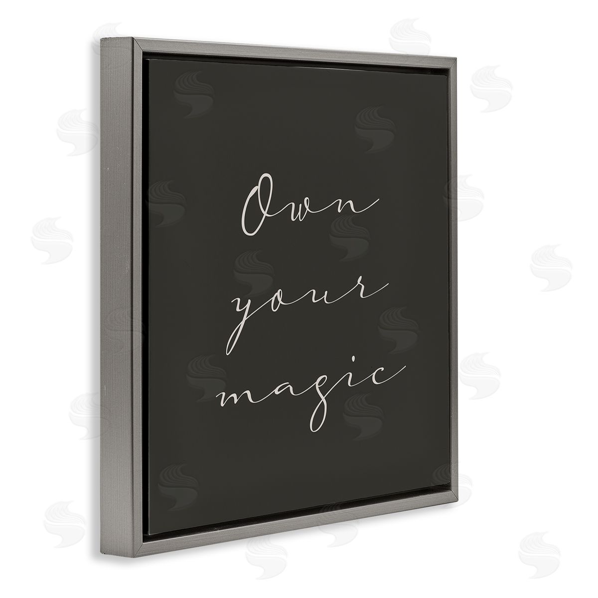 Birch & Ink Own Your Magic Phrase Minimal Cursive Typography Gray Floating Frame Canvas Wall Art Print