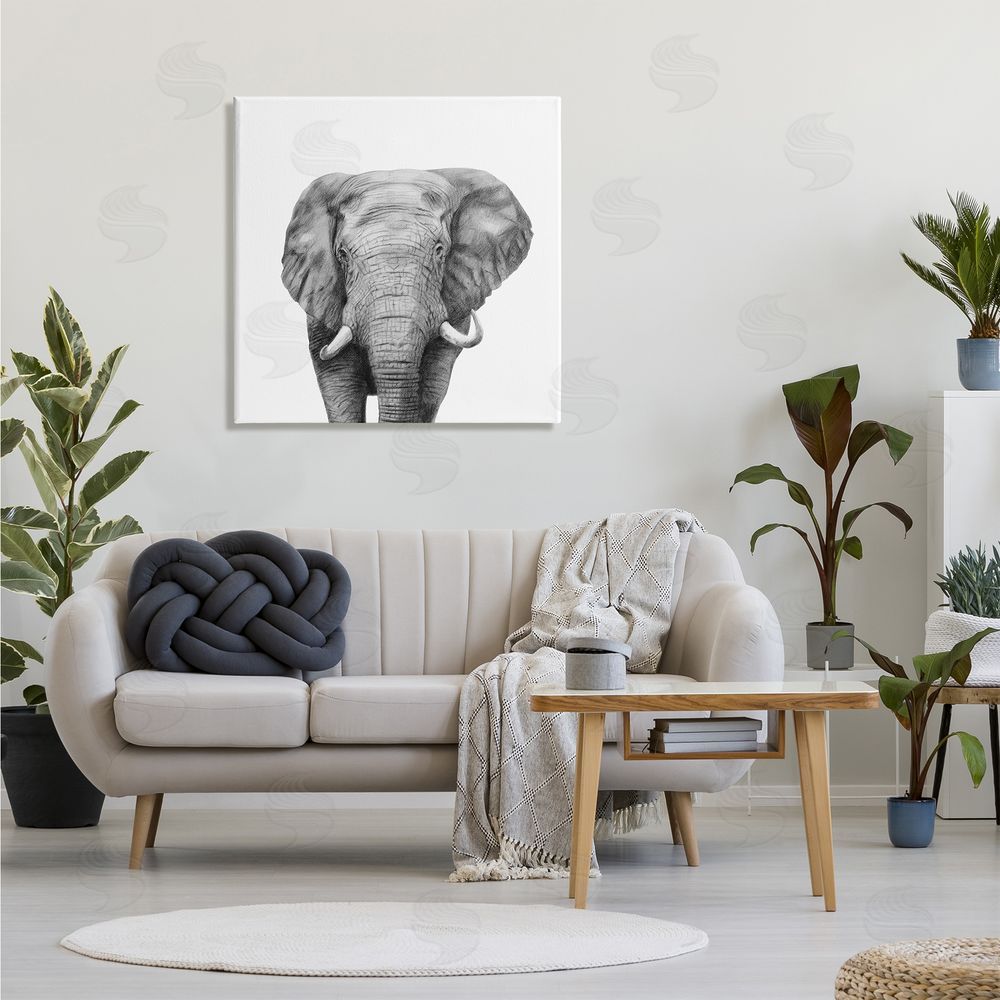 Victoria Borges Realistic Elephant Portrait Minimal Black White Wildlife Illustration Canvas Wall Art in Room