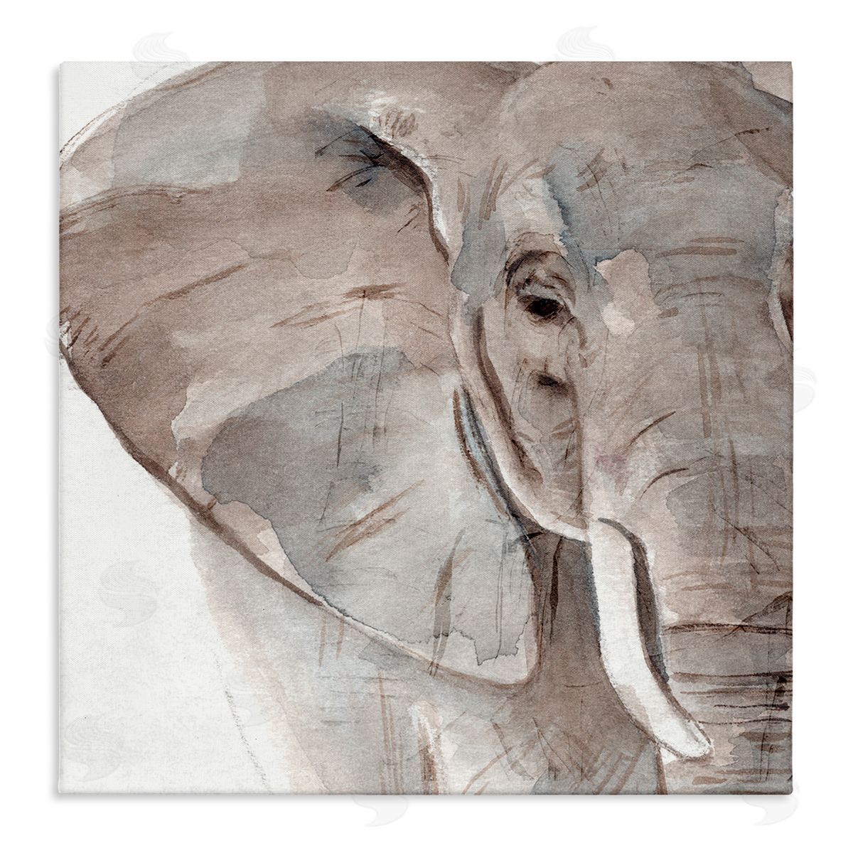 Annie Warren Elephant Ear Animal Portrait Small Husks Grey Wrinkles Stretched Canvas Wall Art Print