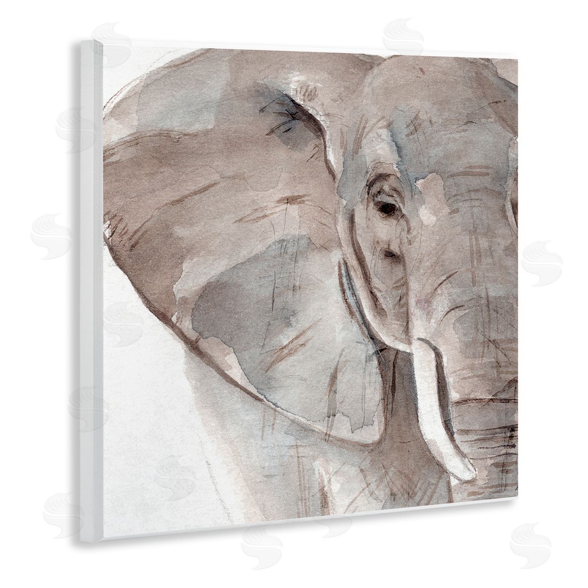 Annie Warren Elephant Ear Animal Portrait Small Husks Grey Wrinkles Wooden Wall Plaque Art Print