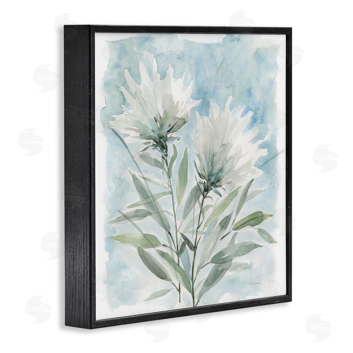 Carol Robinson Abstract Watercolor Florals White Petals Blue Sky Black Framed Glicee Wall Art Print